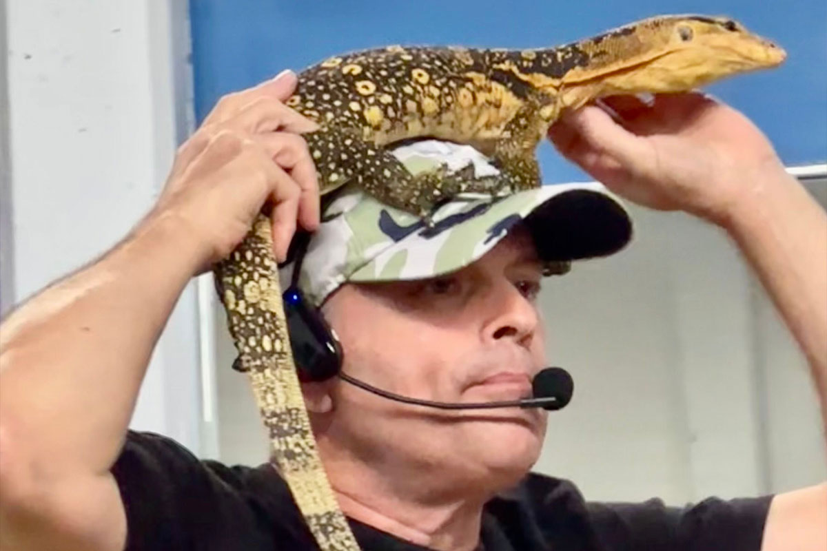 Professionally Handled